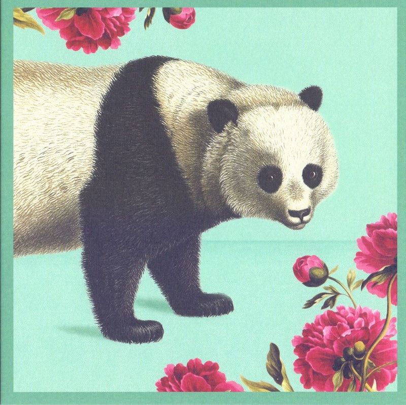 Afbeelding laden in galerijviewer, Kaart+envelop pandabeer. 16x16 cm
