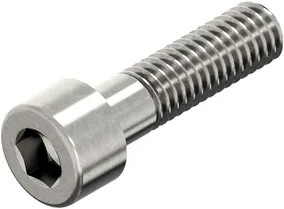 Ck-schroef bzk rvs m10x65 d912 | 50 stuks
