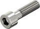 Ck-schroef bzk rvs m10x65 d912 | 50 stuks