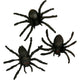 Https: www.cchobby.nl spinnen-afm-4-cm-60-stuk-1-doos