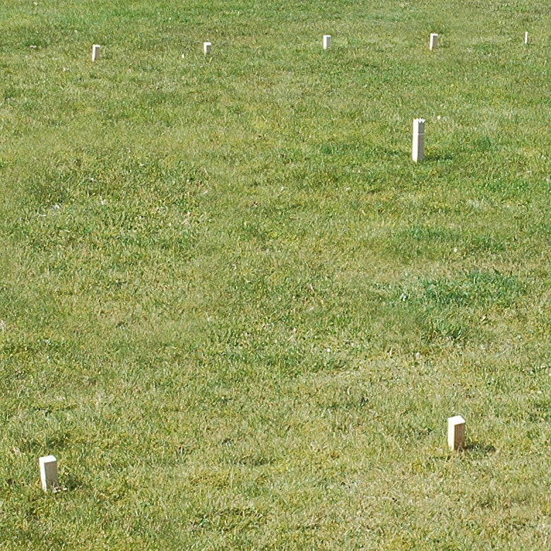 Afbeelding laden in galerijviewer, Goki schaakspel kubb vikingen medium
