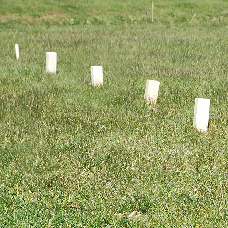 Afbeelding laden in galerijviewer, Goki schaakspel kubb vikingen medium
