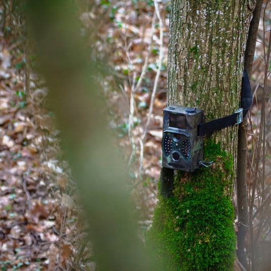 Braun Wildcamera Black300
