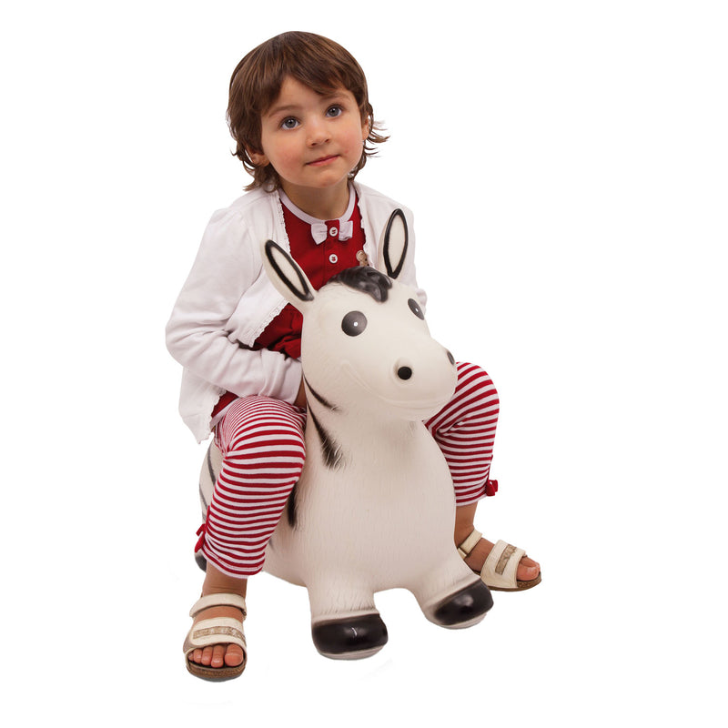 Afbeelding laden in galerijviewer, Small foot - skippydier zebra
