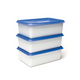 Day to day alaska diepvriesdoos - 3x2000ml