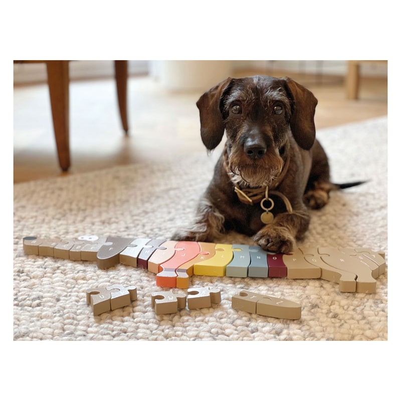 Afbeelding laden in galerijviewer, Small foot - houten letter- en vormenpuzzel hond, 26st.
