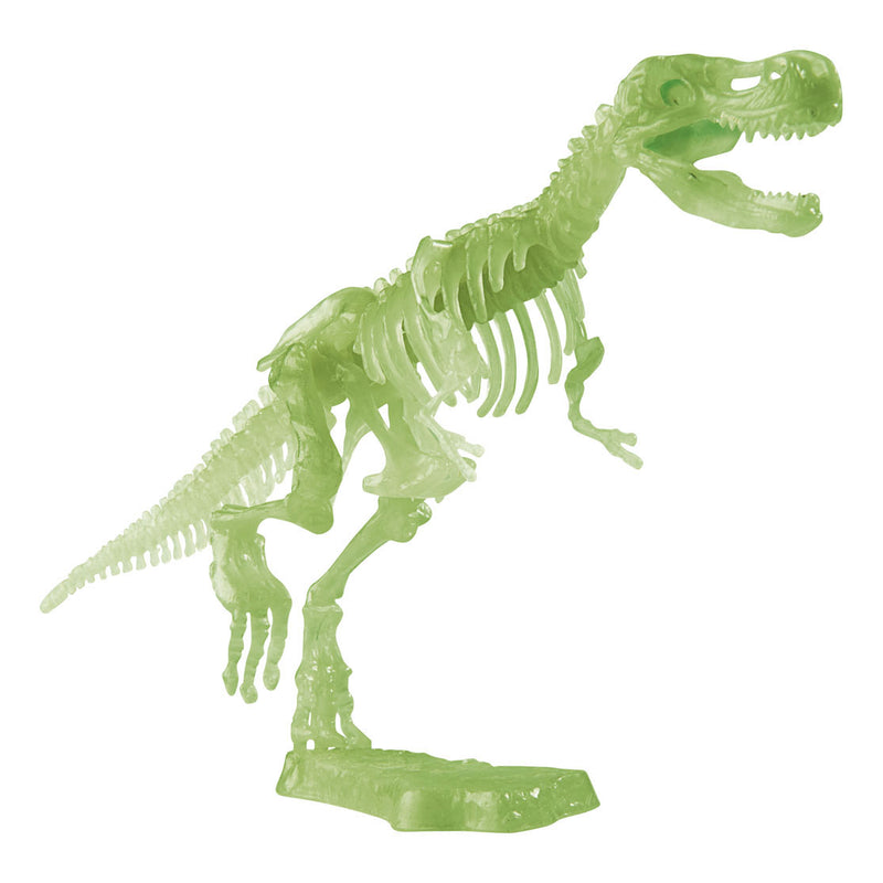 Afbeelding laden in galerijviewer, Glow in the Dark T-Rex Opgravingsset
