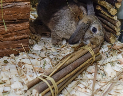 Afbeelding laden in galerijviewer, Nature first happy pet willow sticks
