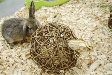 Nature first happy pet speelbal wilg