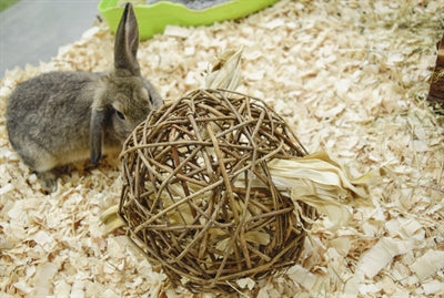 Afbeelding laden in galerijviewer, Nature first happy pet speelbal wilg
