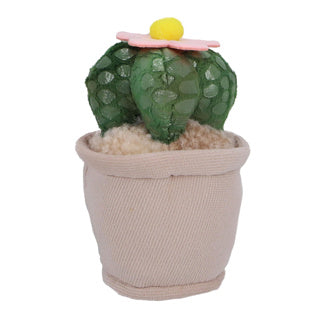Afbeelding laden in galerijviewer, Pluchiez pluche plantjes 15 cm assorti | 16 stuks
