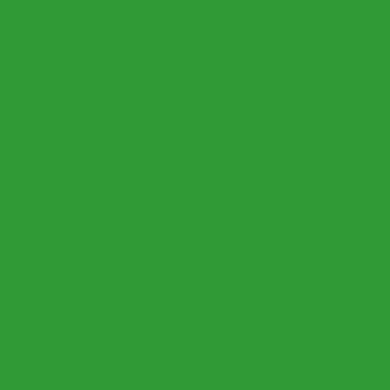 Afbeelding laden in galerijviewer, Superior achtergrondpapier 54 stinger chroma key 1,35 x 11m
