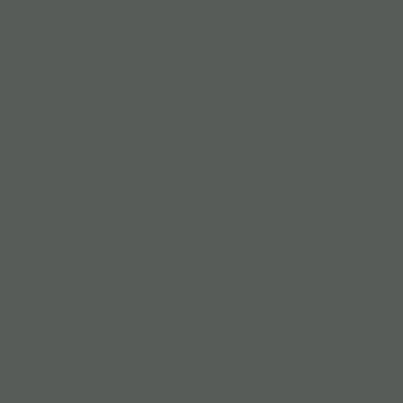 Afbeelding laden in galerijviewer, Superior achtergrondpapier 57 thunder grey 1,35 x 11m
