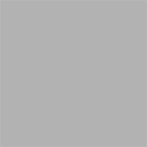 Afbeelding laden in galerijviewer, Superior achtergrondpapier 72 fossil gray 1,35 x 11m
