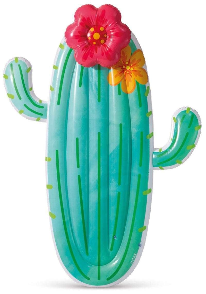 Afbeelding laden in galerijviewer, Intex cactus luchtbed
