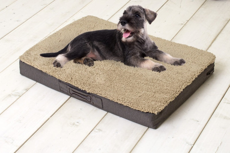 Afbeelding laden in galerijviewer, Sun garden buddy orthopedisch hondenkussen 79x60x8cm beige donkerbruin
