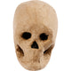 Skelet masker