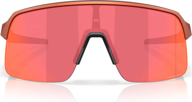 Afbeelding laden in galerijviewer, Oakley sutro lite sports glasses
