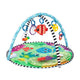 2-in-1 speelgym met watermat