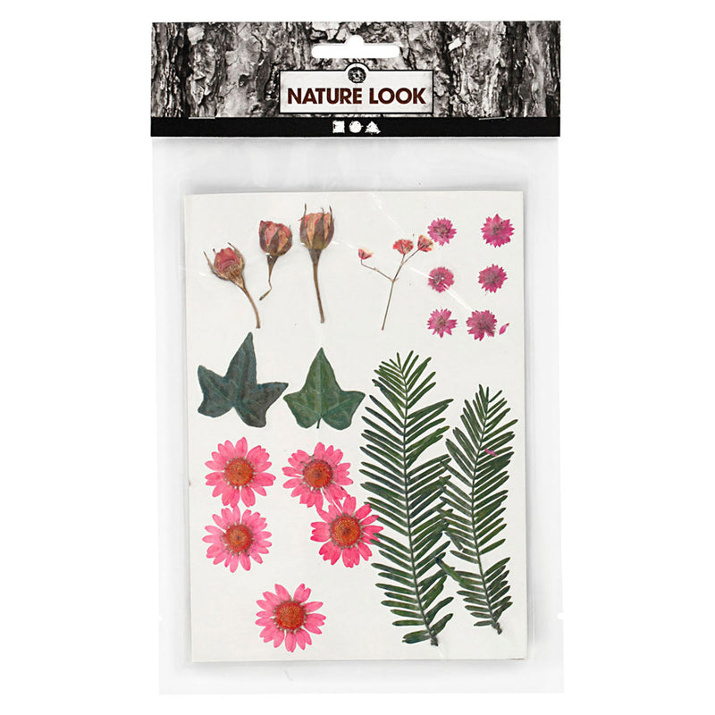 Afbeelding laden in galerijviewer, Creativ company gedroogde bloemen en bladeren lichtrood, 19dlg.

