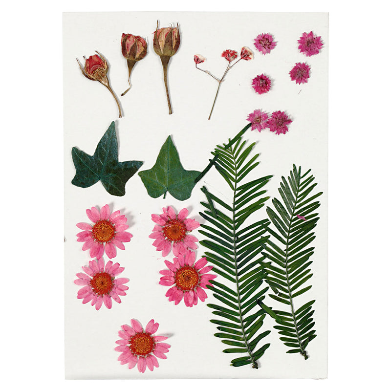 Afbeelding laden in galerijviewer, Creativ company gedroogde bloemen en bladeren lichtrood, 19dlg.
