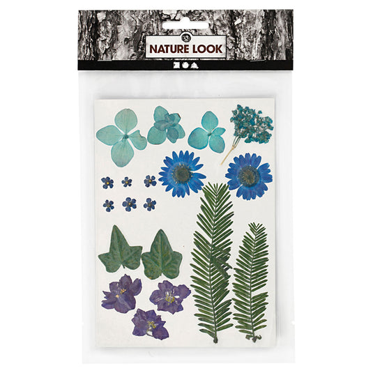 Creativ company gedroogde bloemen en bladeren blauw, 19dlg.