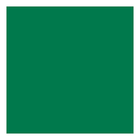 Creativ company tissuepapier groen 10 vellen 14 gr, 50x70cm