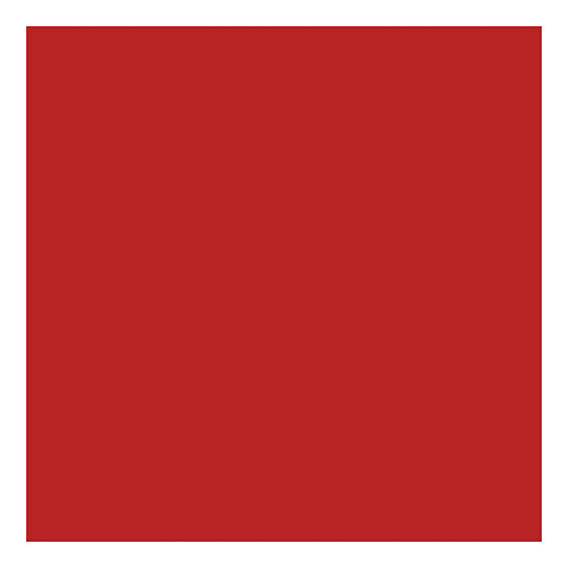 Afbeelding laden in galerijviewer, Creativ company schmink royal red, 20ml
