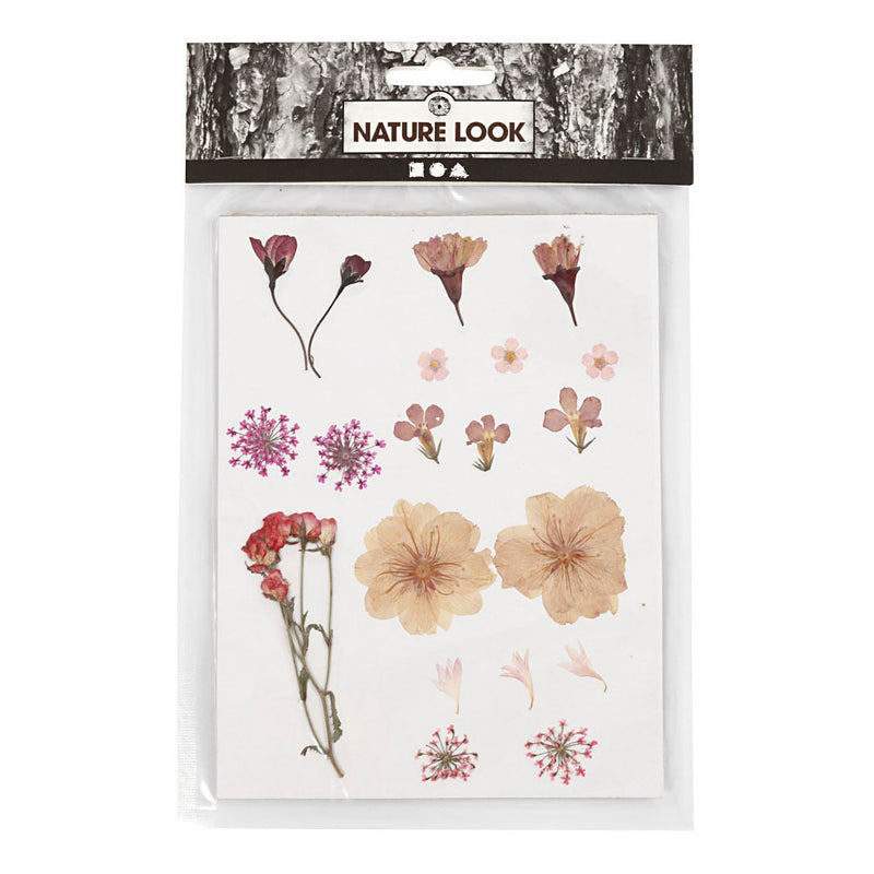 Afbeelding laden in galerijviewer, Creativ company gedroogde bloemen en bladeren lichtroze
