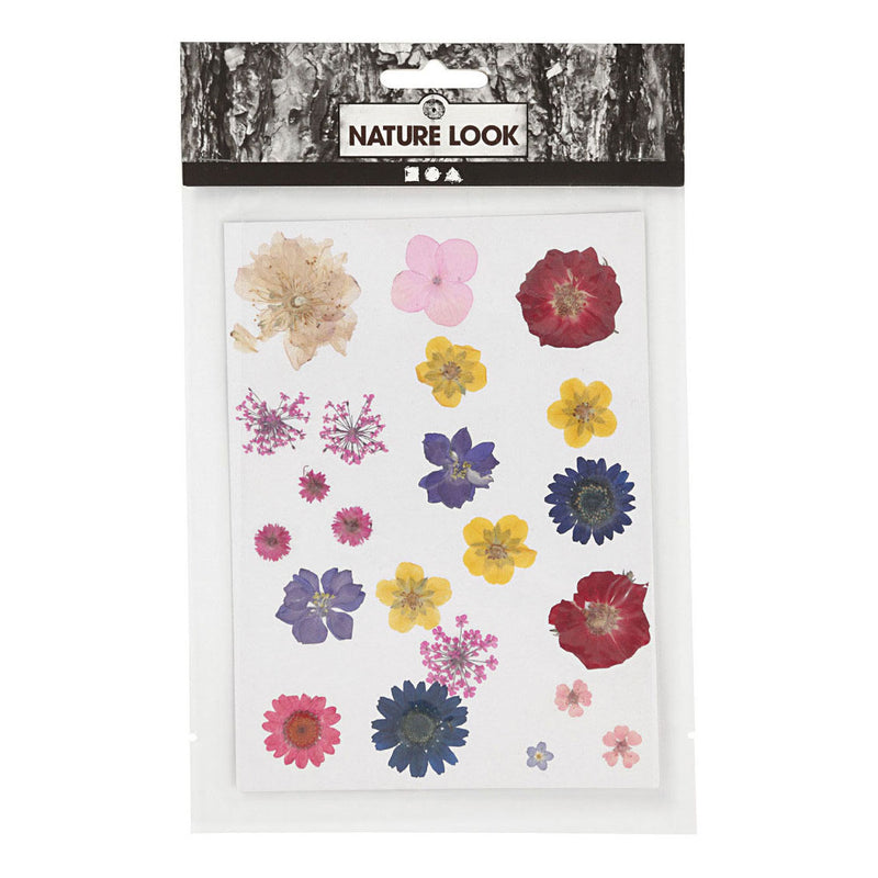 Afbeelding laden in galerijviewer, Creativ company gedroogde bloemen en bladeren diverse kleuren
