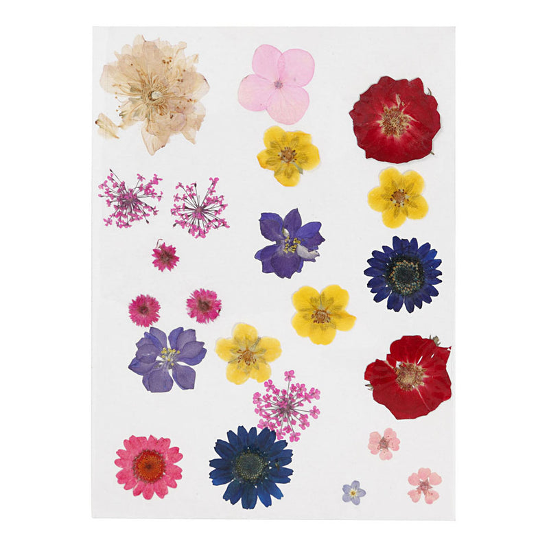Afbeelding laden in galerijviewer, Creativ company gedroogde bloemen en bladeren diverse kleuren
