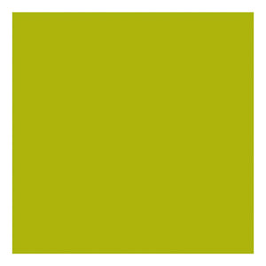 Creativ company https: www.cchobby.nl acrylverf-met-glitters-lime-groen-500-ml-1-fles