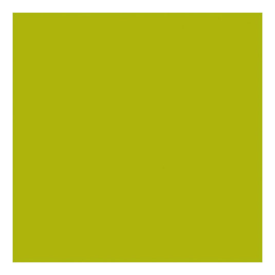 Creativ company https: www.cchobby.nl acrylverf-met-glitters-lime-groen-500-ml-1-fles