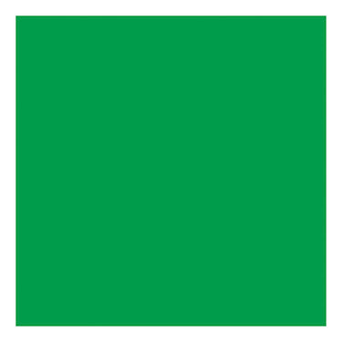 Creativ company gekleurd karton gras groen 270gr, 100 vellen