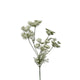 Roberts collection kunstbloem dille 80cm wit