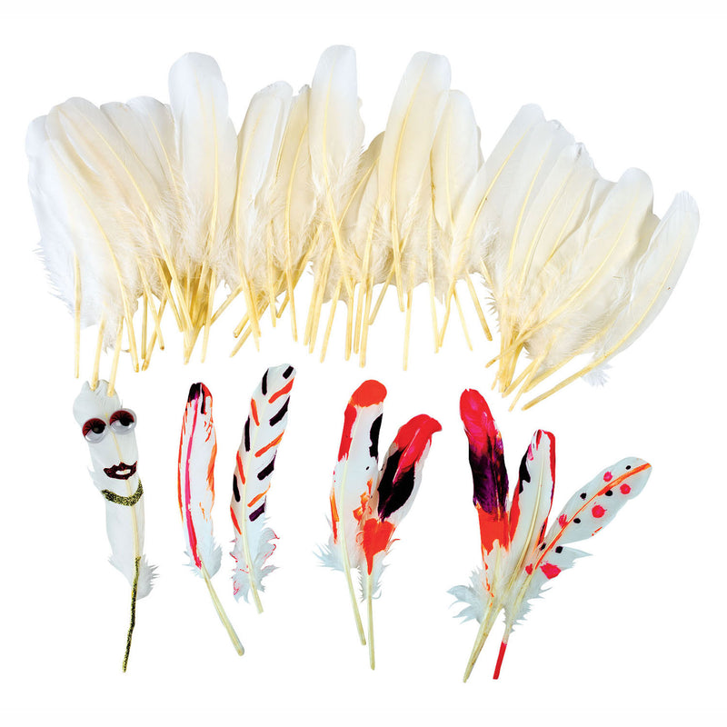 Afbeelding laden in galerijviewer, Colorations - natuurlijke witte veren, 48st.
