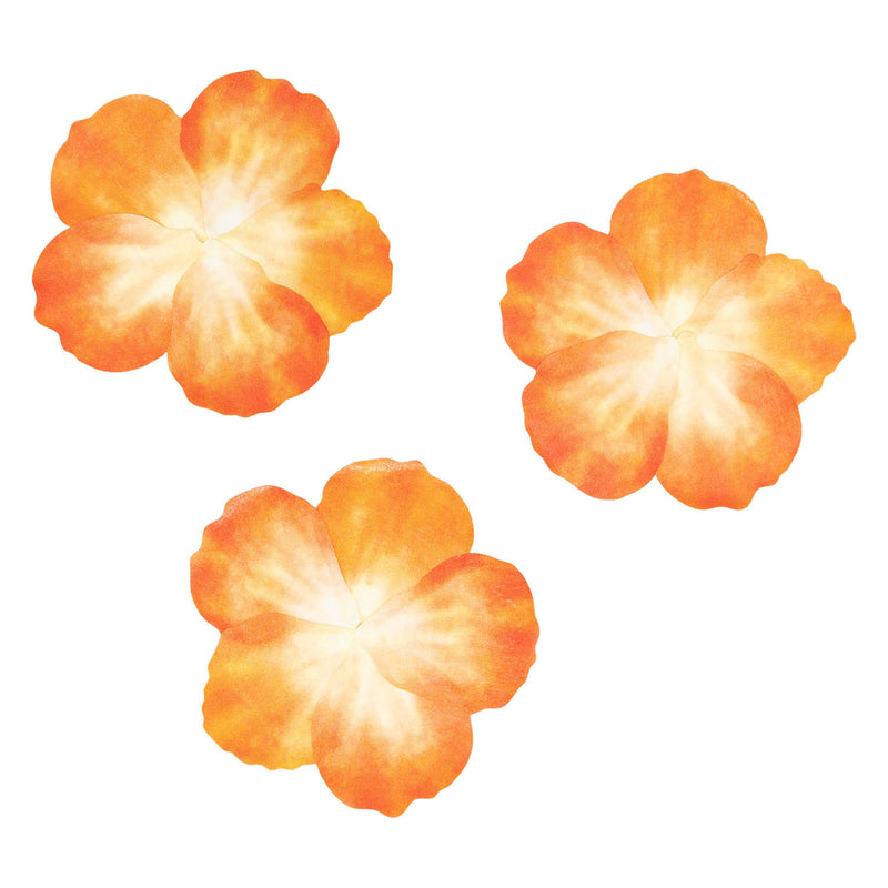 Afbeelding laden in galerijviewer, Colorations - washi stickers - oranje bloemblaadjes, 80st.
