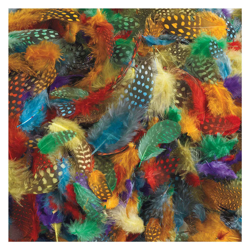 Afbeelding laden in galerijviewer, Colorations - gevlekte veren, 30 gram
