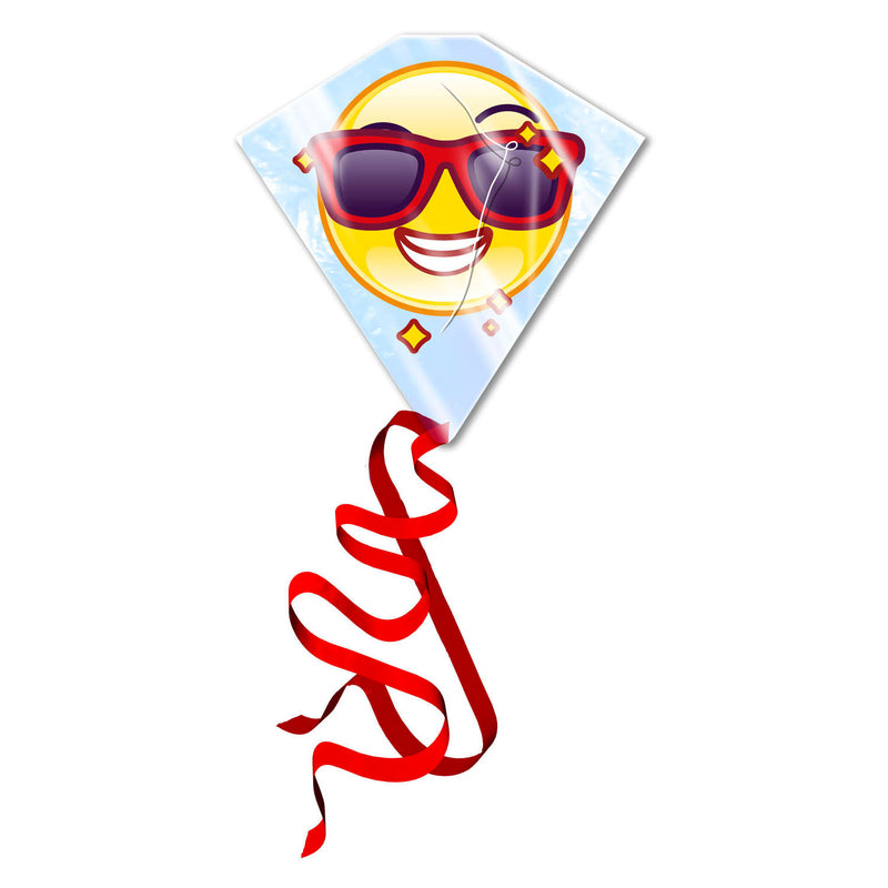 Afbeelding laden in galerijviewer, Kites ready 2 fly - vlieger emoji
