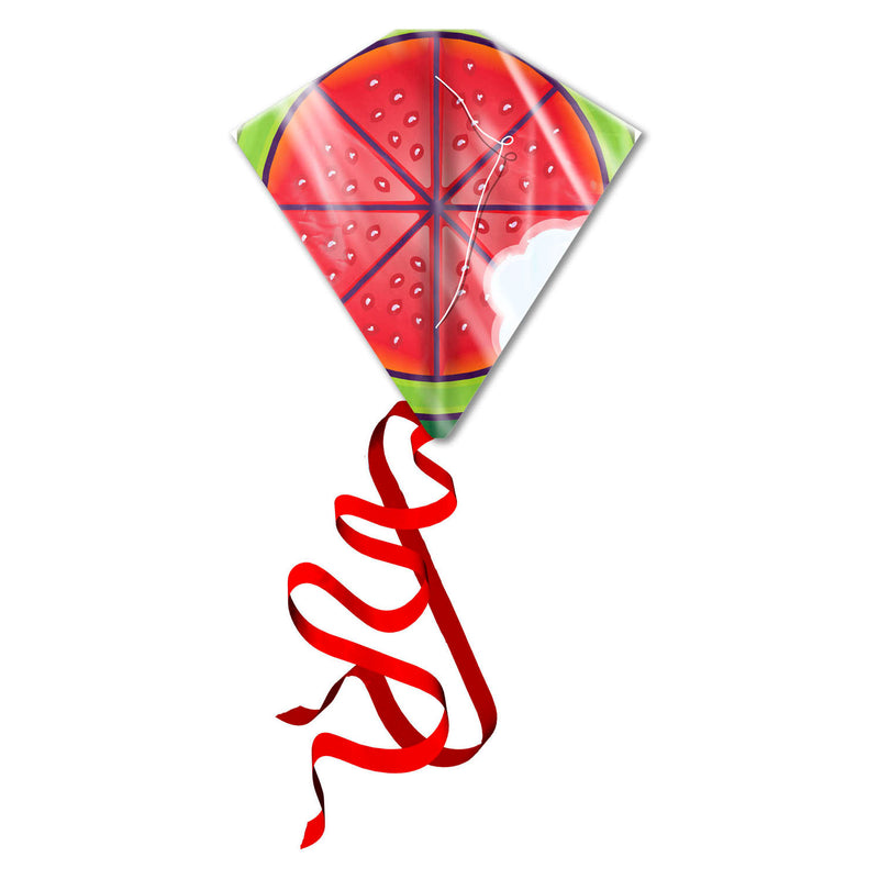 Afbeelding laden in galerijviewer, Kites ready 2 fly - vlieger watermeloen
