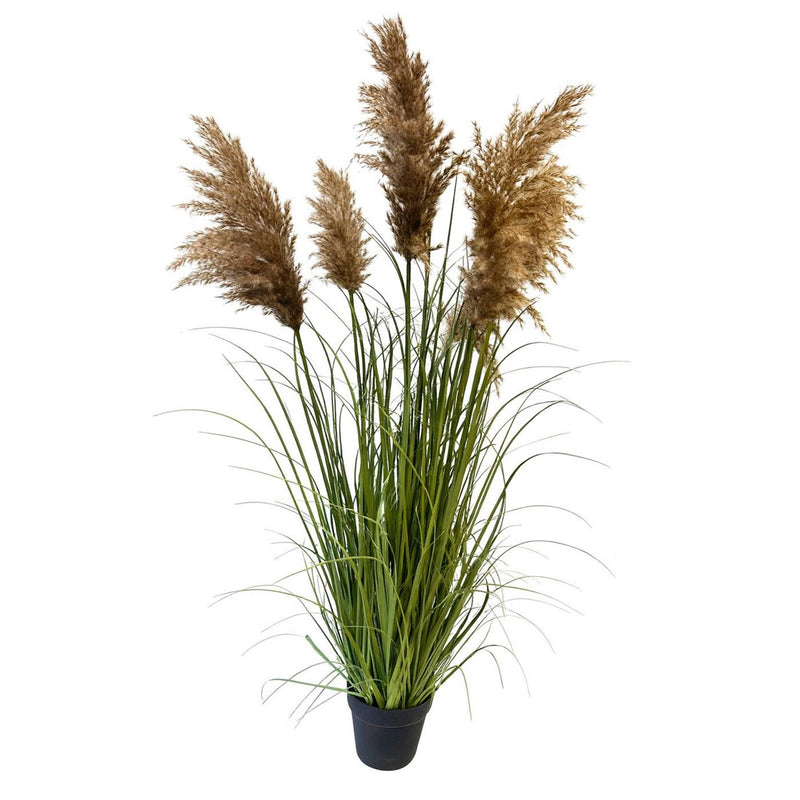 Afbeelding laden in galerijviewer, Deco plant met pampasgras 120cm in kunststof pot
