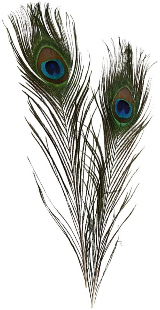 Afbeelding laden in galerijviewer, Creativ company https: www.cchobby.nl pauwenveren-l-25-30-cm-10-stuk-1-doos
