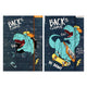 Map met elastiek a4 skate dino