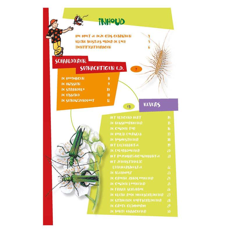 Afbeelding laden in galerijviewer, Deltas de leukste insectengids voor kids
