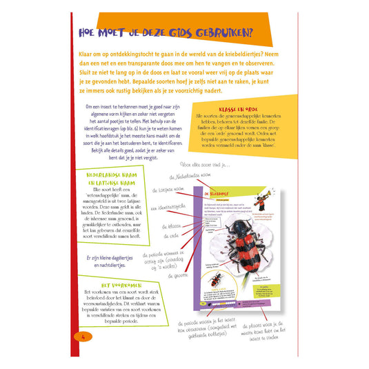 Deltas de leukste insectengids voor kids