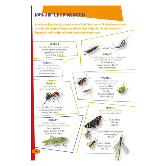 Deltas de leukste insectengids voor kids