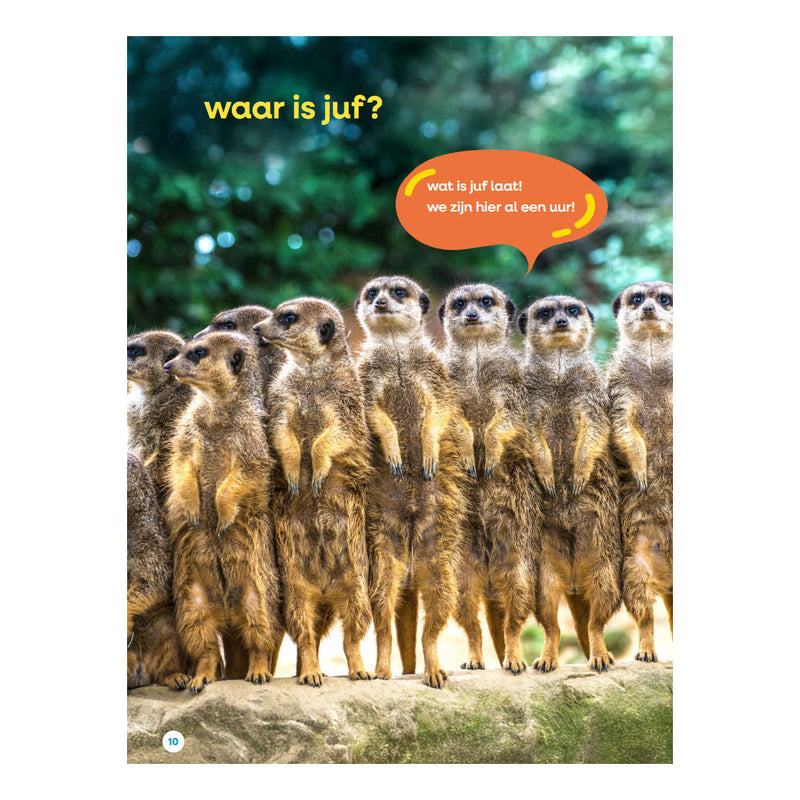 Afbeelding laden in galerijviewer, Wpg uitgevers mijn grote juffenboek - avi start
