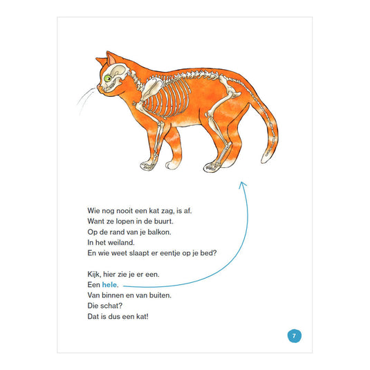 Wpg uitgevers dat is een kat - avi e3
