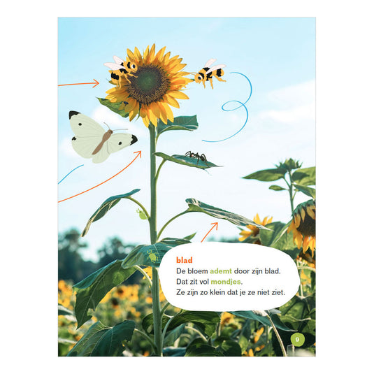 Wpg uitgevers blij met bloemen! - avi e3