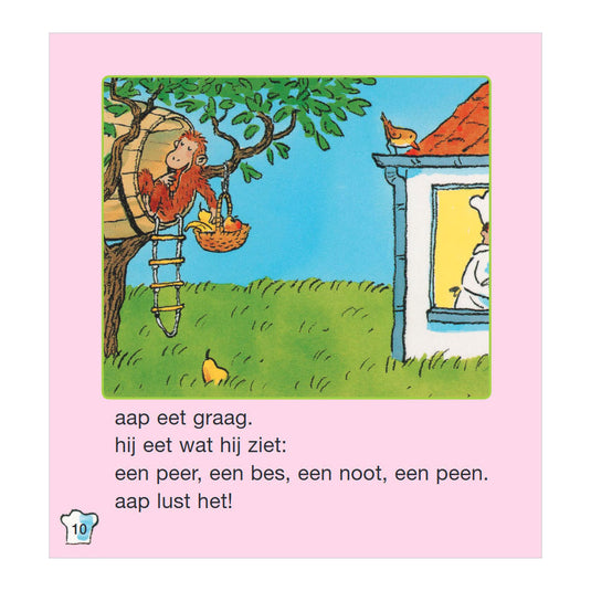 Het boek van aap
